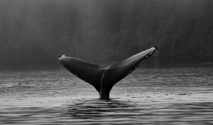 煜星平台,煜星代理Q554258,煜星注册