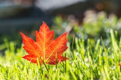 <b>煜星注册：报告描绘了加拿大区块链生态系统的</b>