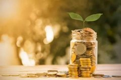 <b>煜星登录：潜伏在区块链皮囊下的犯的罪</b>