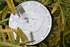 <b>煜星代理：两天内上涨70% -是什么推动了上涨?</b>