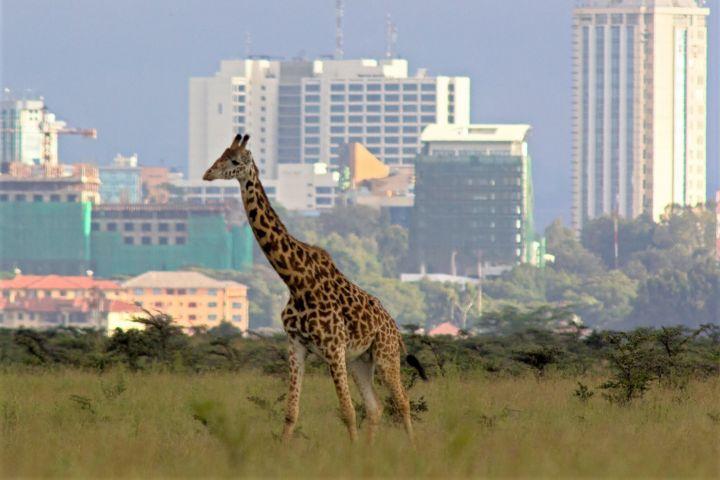 煜星娱乐代理,煜星娱乐开户,煜星怎么当代理