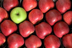 <b>煜星平台：Tezos仍然是绿色的，因为排名前9的硬</b>