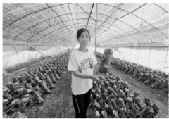 <b>煜星网址_菇香四溢好“味”来</b>