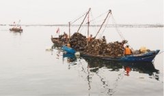 <b>煜星_金秋海货满仓</b>