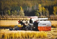 <b>煜星平台登入_大地织锦绣 收割丰收忙</b>