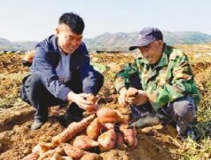 <b>煜星书院费用多少？_把产业“种”进村民心里</b>