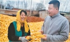 <b>煜星平台合法吗_铺下致富路 迎来好项目</b>