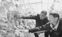 <b>煜星_“公害”变财源</b>