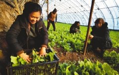 <b>煜星平台注册_线上销售 助农致富</b>